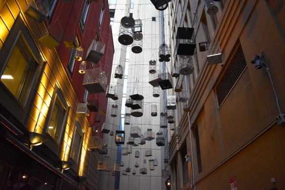 bird cages hanging above the street at angel place sydney