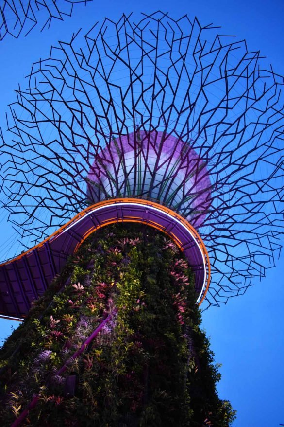 vertical gardens resembling towering trees