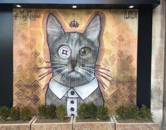 a graffiti showing a cat in suit