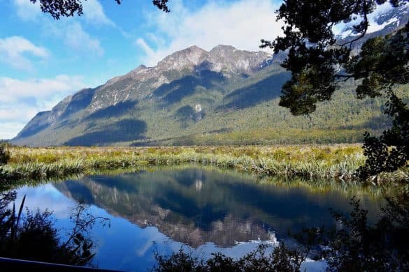 Mirror Lakes – Fiordland, New Zealand green mountain reflection on mirror lakes