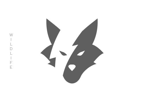 Wildlife and Animals Photography Icon