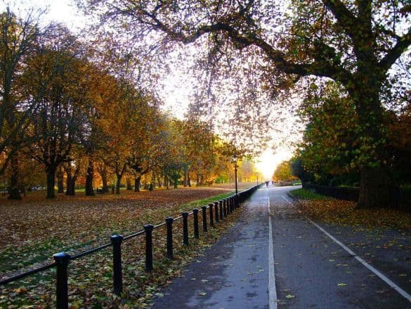 Hyde Park with yellow leaves at autumn