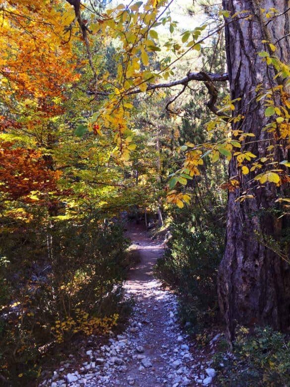 Path on Mount Olympus National Park - Greece