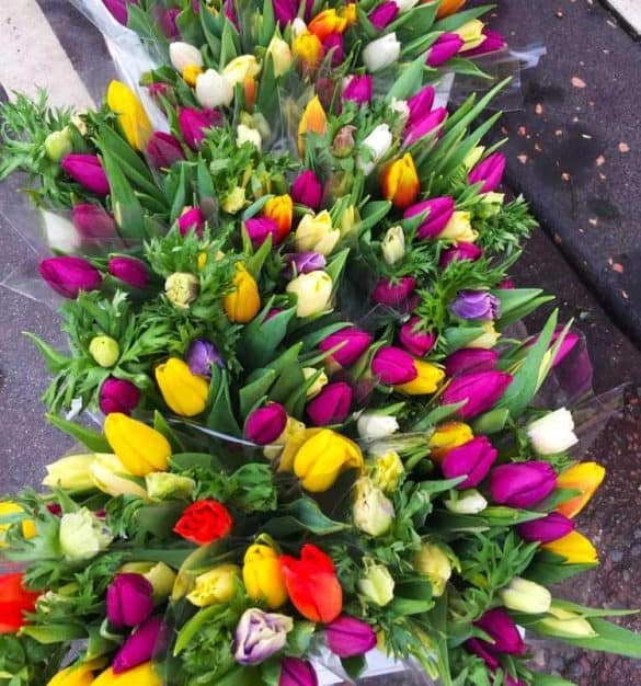 Colourful Tulips in Albert Cuyp Market – Amsterdam, The Netherlands orange, yellow, purple, white and red tulips in albert market
