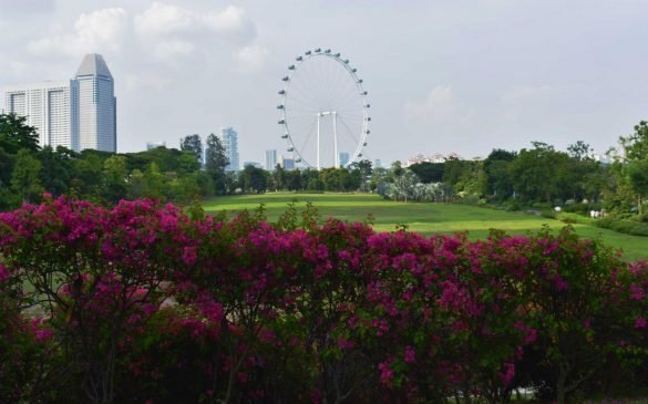 Gardens by the Bay – Singapore pink flowers and gardens by the bay with singapore eye in the background