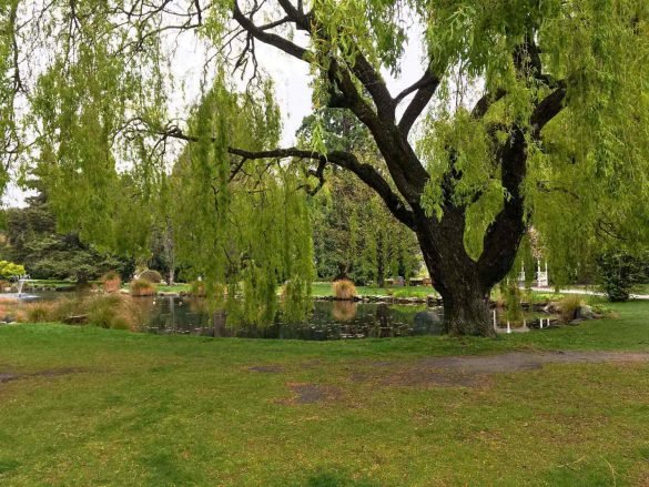 Queenstown Botanical Gardens – Queenstown, New Zealand Queenstown Botanical Gardens - Queenstown, New Zealand