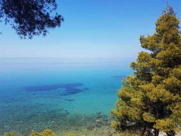beach with turquoise water between tree in elia sithonias