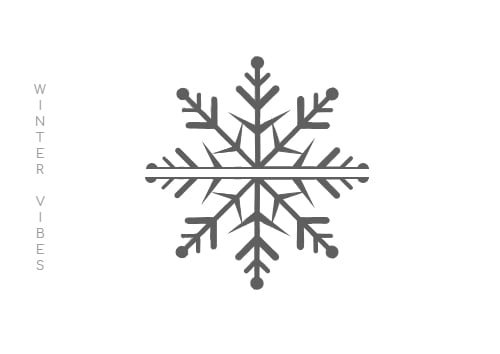 Winter Vibes Photography Icon