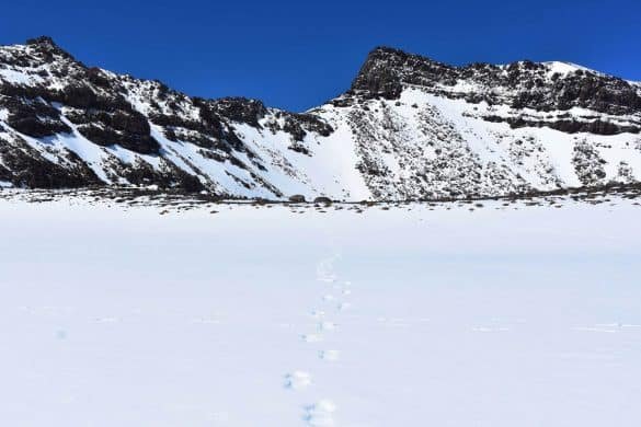 Tongariro Alpine Crossing – Tongariro National Park, New Zealand footprints on snow at tongariro alpine crossing